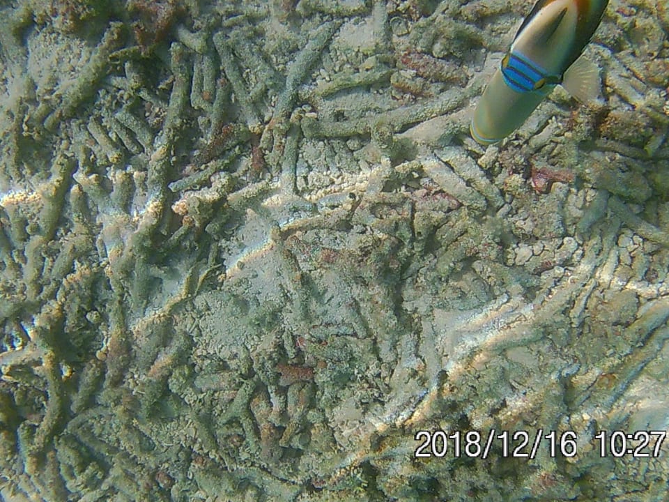 Sport & Freizeit Adaaran Select Hudhuran Fushi - Premium All Inclusive