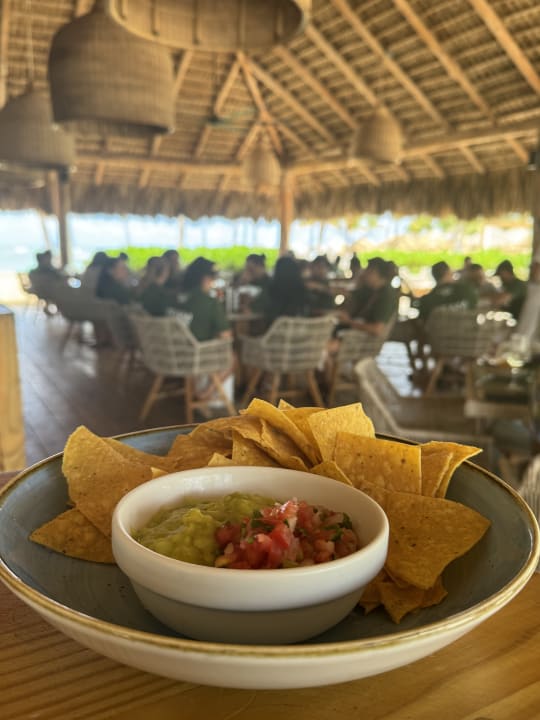 Gastro Live Aqua Punta Cana - All Inclusive - Adults Only