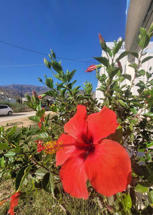 Ausblick Hotel Corissia Princess