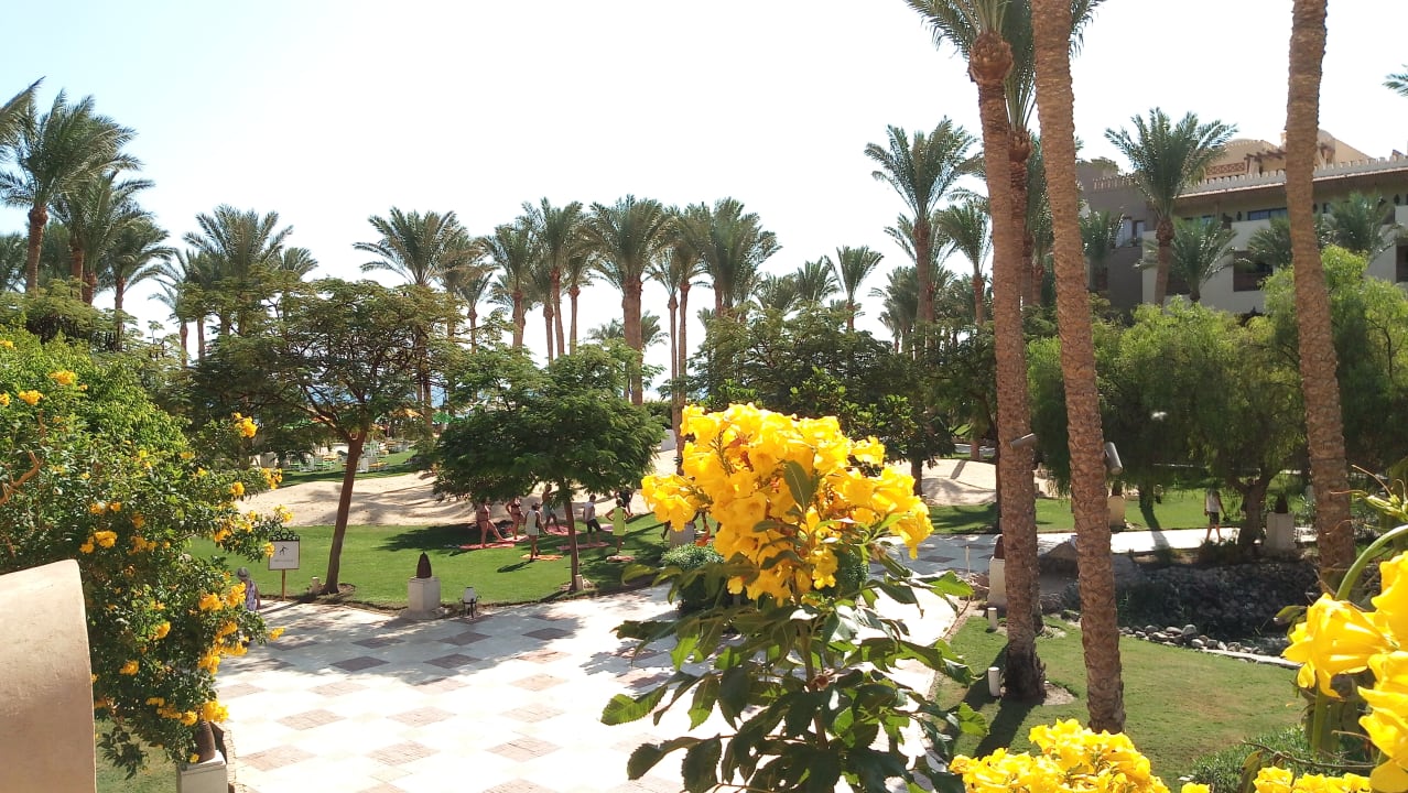 Gartenanlage Grand Makadi