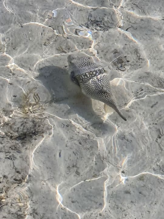 Strand Casa Mare Resort