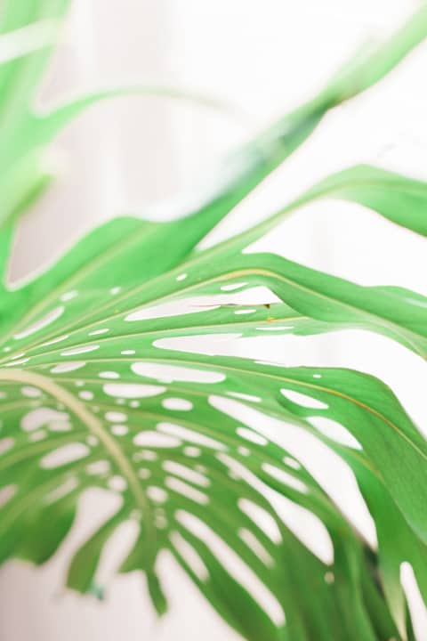 Außenansicht Afroditi Pansion