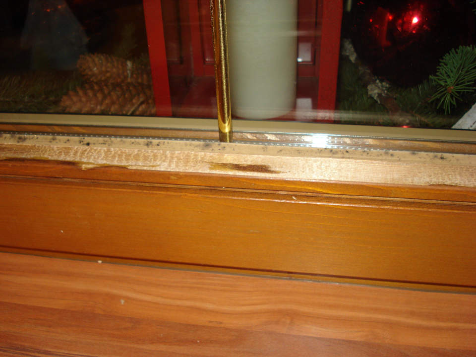 Küchenfenster, scheinbar abgeschliffener Schmimmel Appartements Am Burgsee