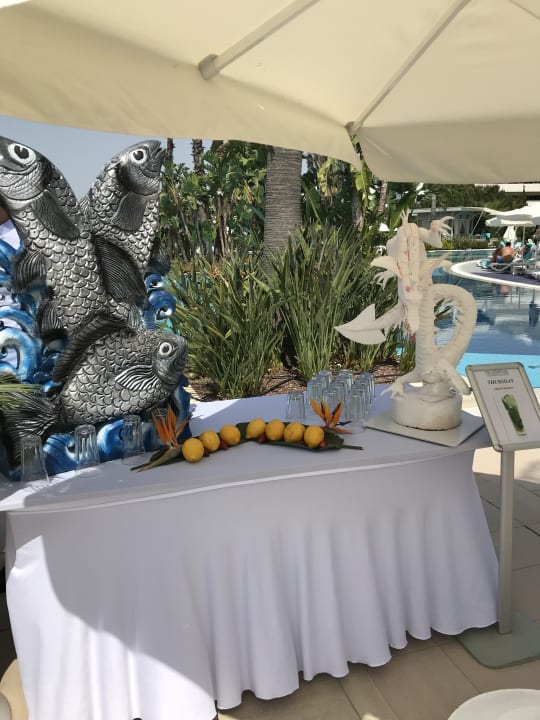 Gastro Susesi Luxury Resort