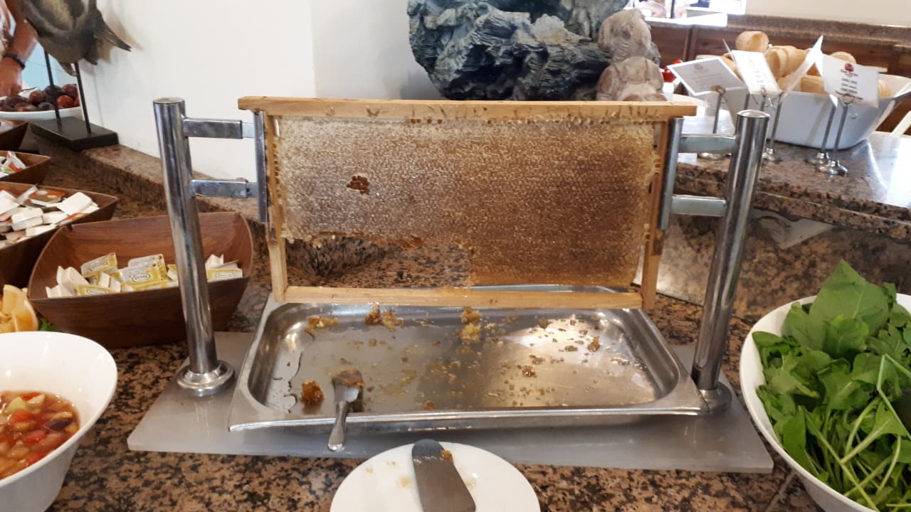 Gastro Club Turtas Beach Hotel