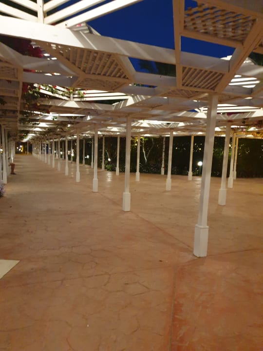 Gartenanlage Desert Rose