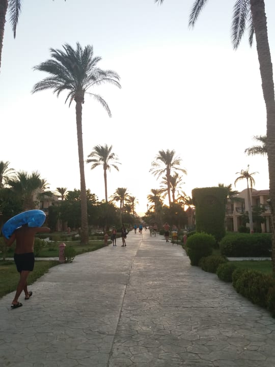 Gartenanlage Ali Baba Palace Hotel