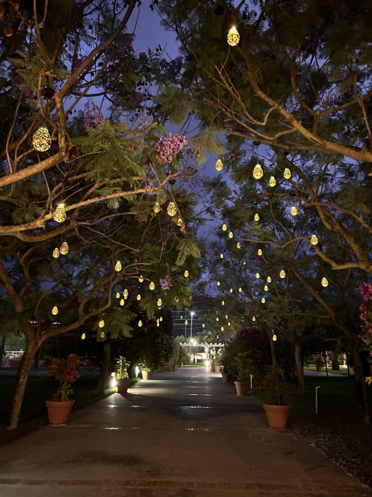 Außenansicht TUI MAGIC LIFE Calabria