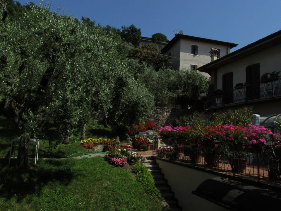 Ausblick aus unserem Zimmer in den Garten Hotel Fraderiana