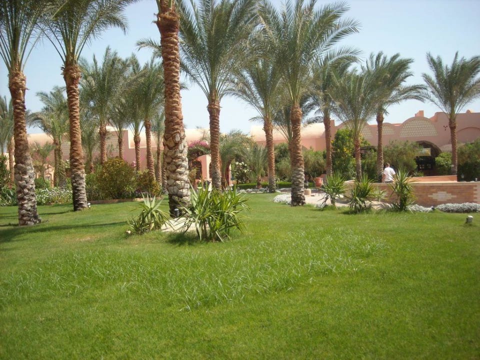 Makadi Oasis Jaz Makadi Oasis Resort