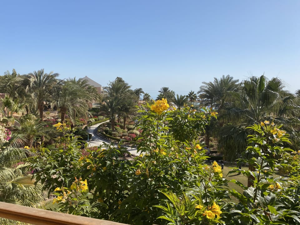 Ausblick Mövenpick Resort & Spa El Gouna