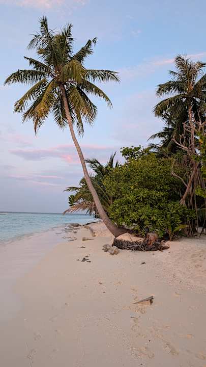 Strand Vilamendhoo Island Resort & Spa