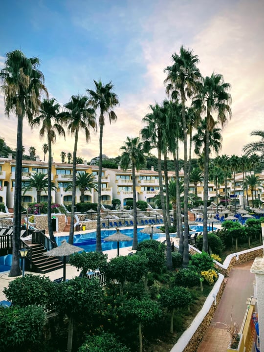 Gartenanlage Royal Son Bou Family Club