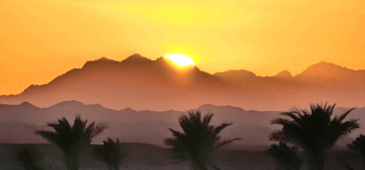 Ausblick Steigenberger Resort Alaya Marsa Alam - Red Sea - Adults only