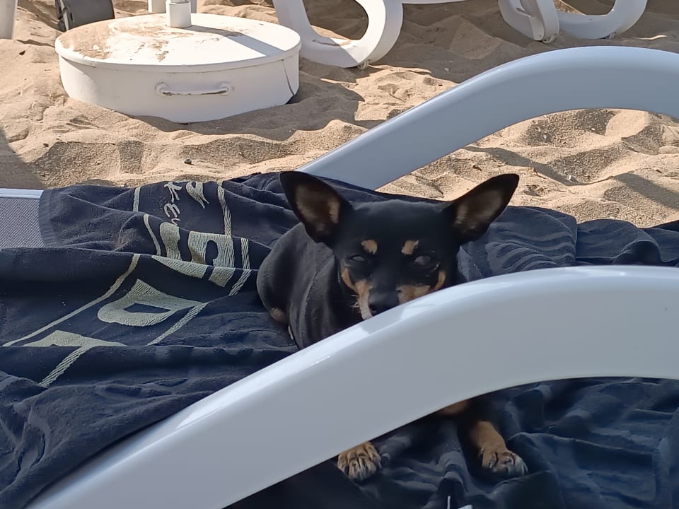 Sonstiges Özlem Garden Hotel