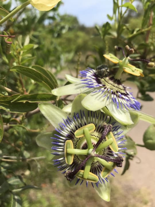 Gartenanlage Grande Baia Resort & Spa