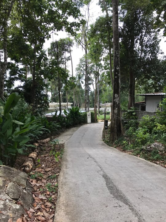 Zufahrtsstraße zu Resort Nest Sense Resort