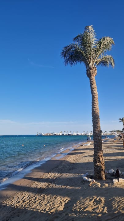 Strand Steigenberger ALDAU Beach Hotel