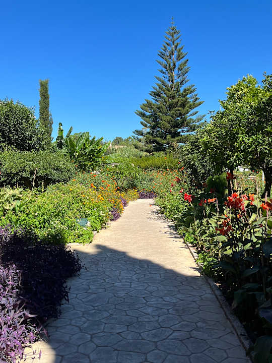 Gartenanlage St. George's Bay Country Club