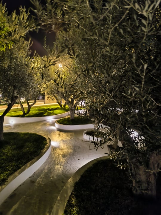 Gartenanlage Diar Lemdina Hotel