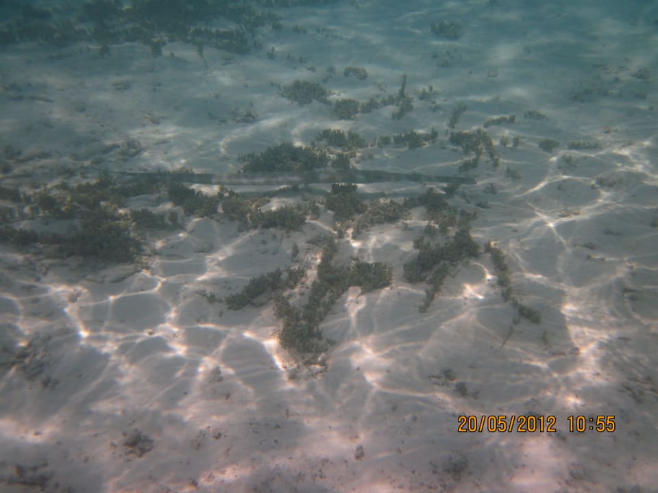 Unterwasserwelt Villa Park Sun Island