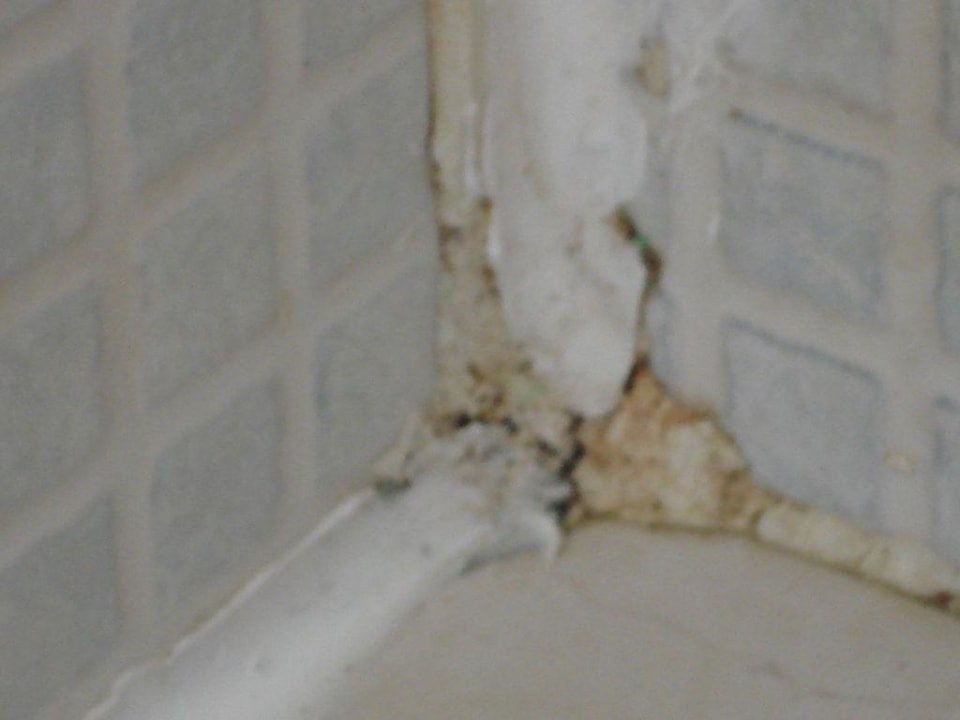 Bad Albatros Sharm Resort