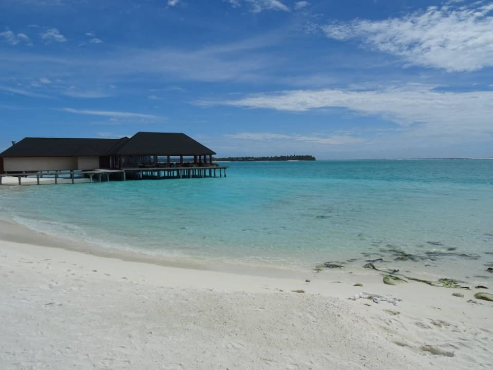 Strand Summer Island Maldives