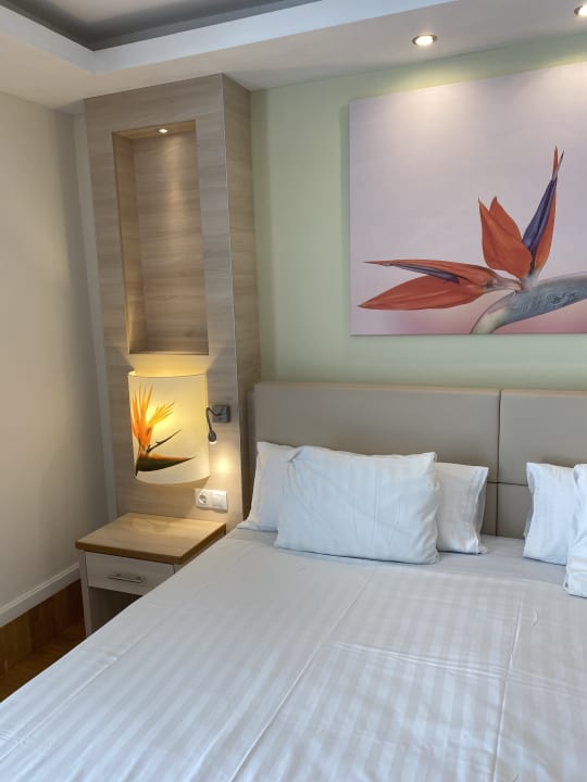 Zimmer Bull Costa Canaria & Spa - Adults only