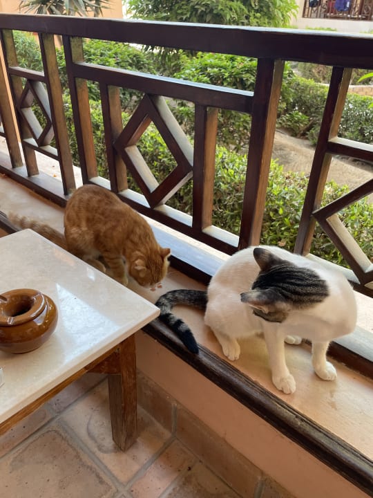 Zimmer Sultan Bey Hotel, El Gouna