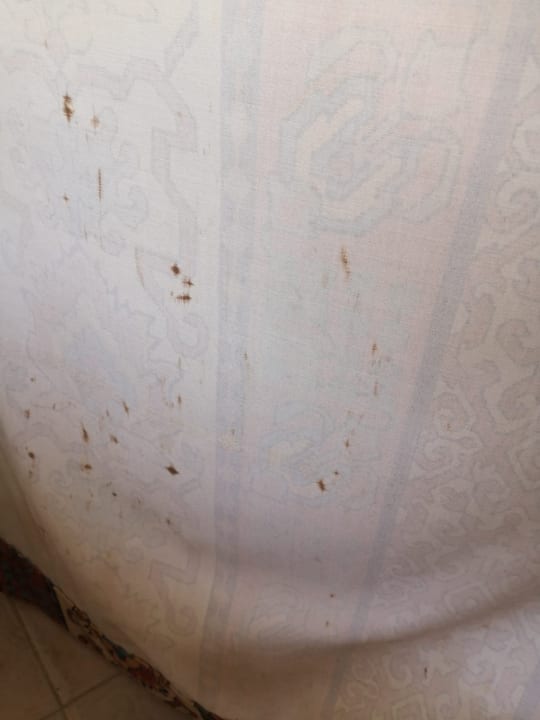 Zimmer Shams Safaga Resort