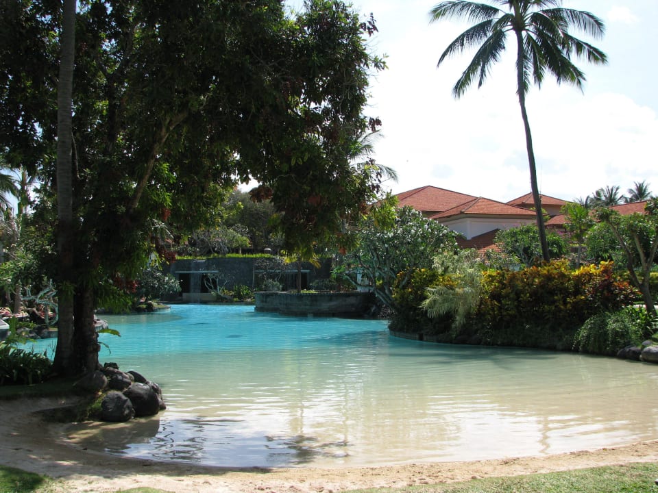 Sehr schöner Lagunenpool The Laguna A Luxury Collection Resort & Spa