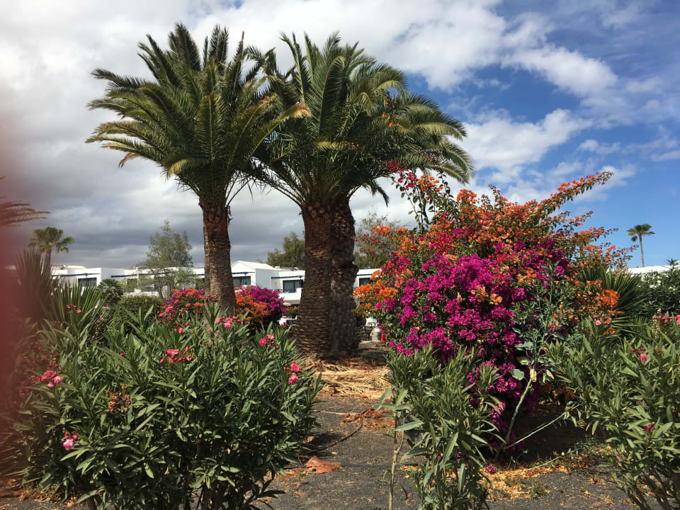 Gartenanlage Relaxia Olivina