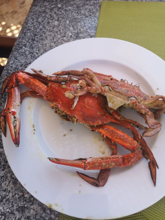 Gastro Pharaoh Azur Resort