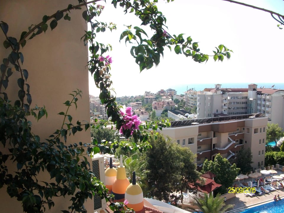 Blick vom Balkon  Hotel Club Paradiso