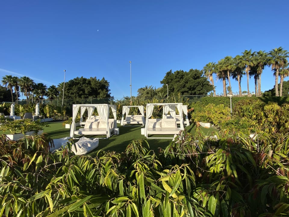 Gartenanlage Canary Garden Club