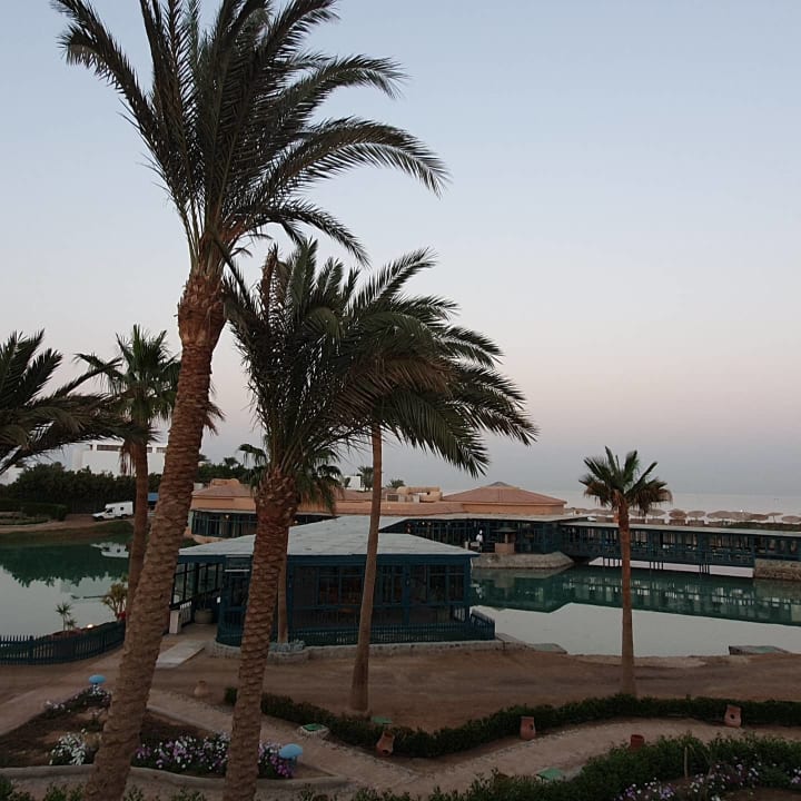 Gastro Club Paradisio El Gouna, Red Sea