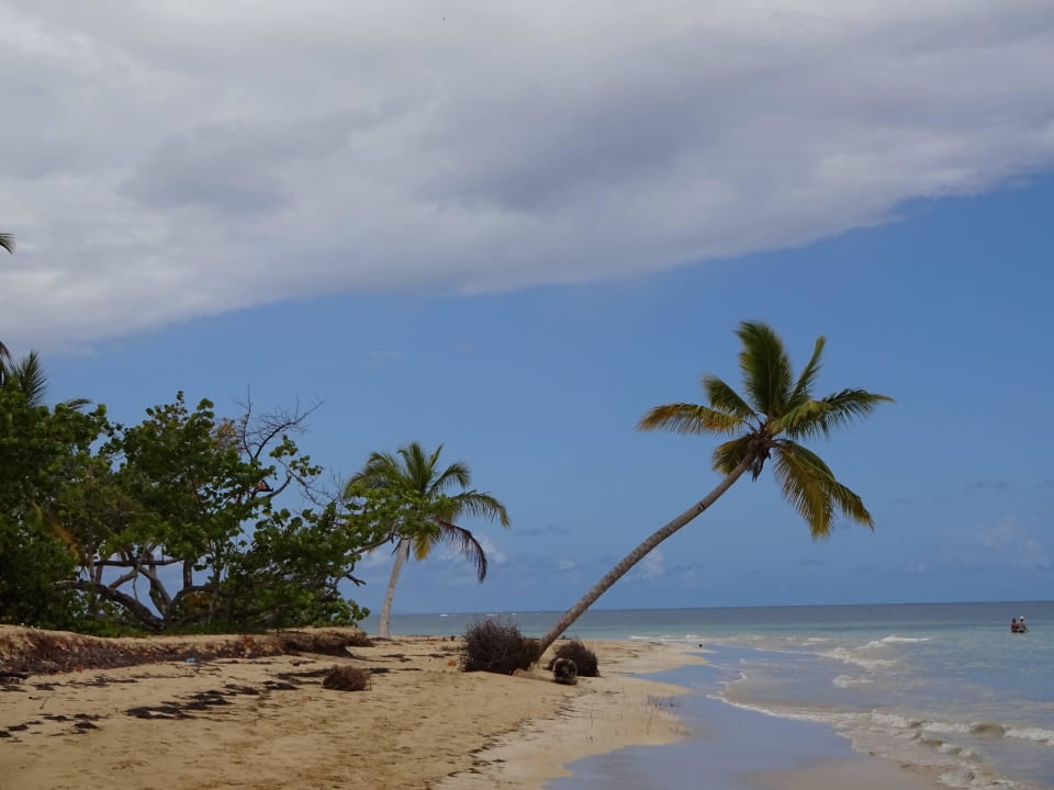 Der wunderschöne Strand Bahia Principe Grand El Portillo