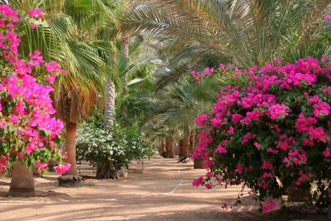 Krásné zahrady Brayka Bay Resort