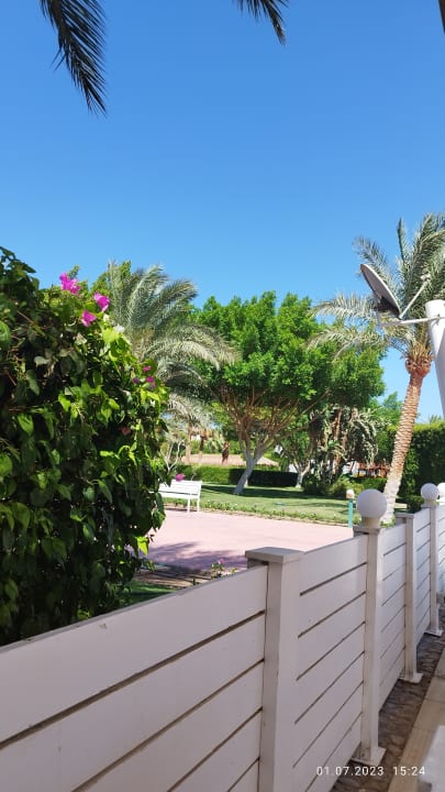 Gartenanlage Desert Rose