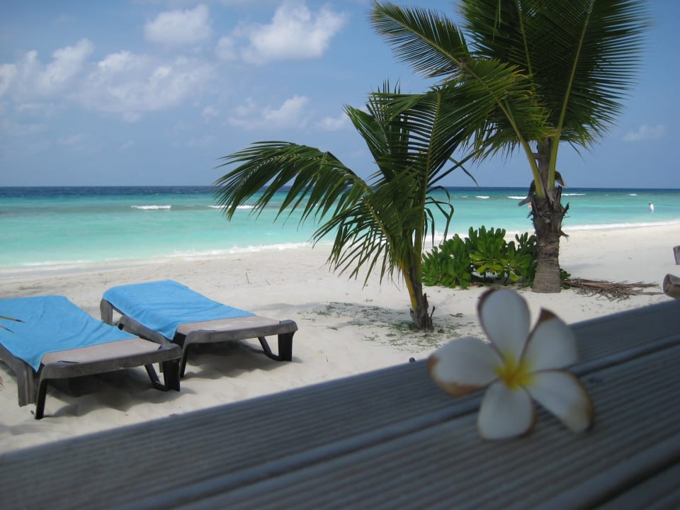 Von der Veranda Kuredu Island Resort & Spa