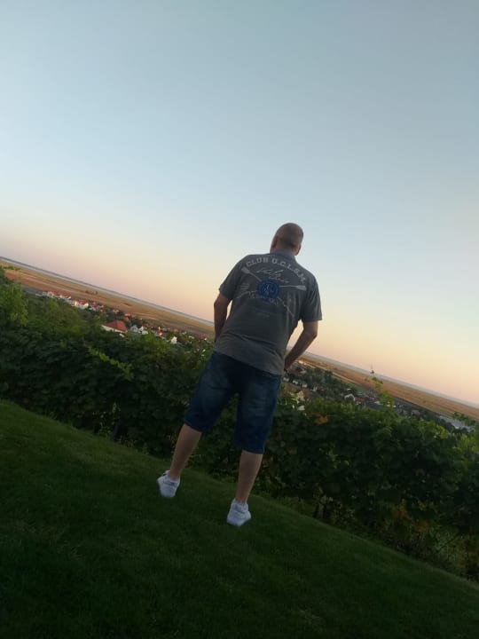 Gartenanlage Weingut & Gästehaus zum Seeblick - Familie Sattler