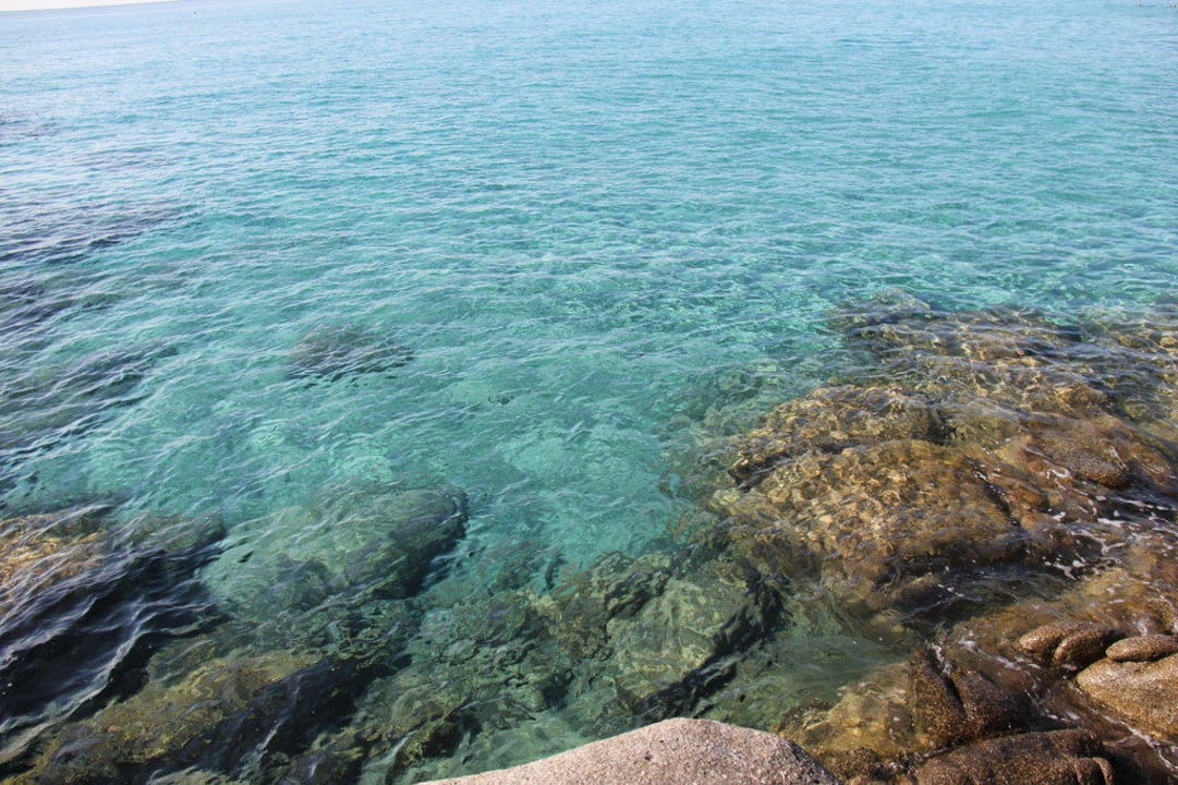 Karibik - Feelings ... Hotel Residence Fenicia