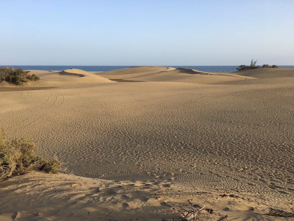 Strand Hotel Riu Palace Oasis