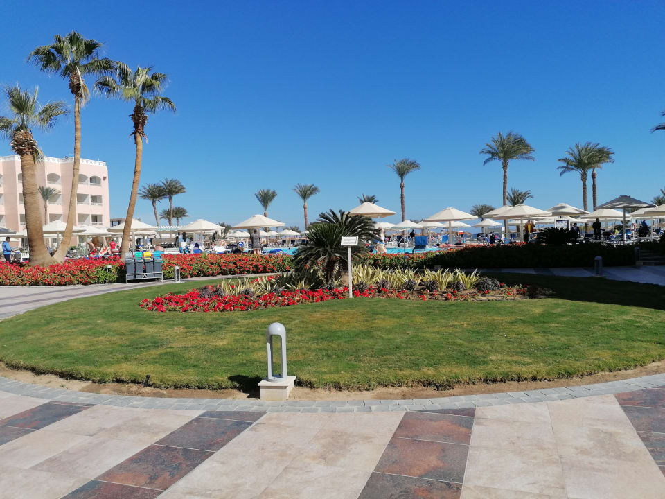 Pool Beach Albatros Resort