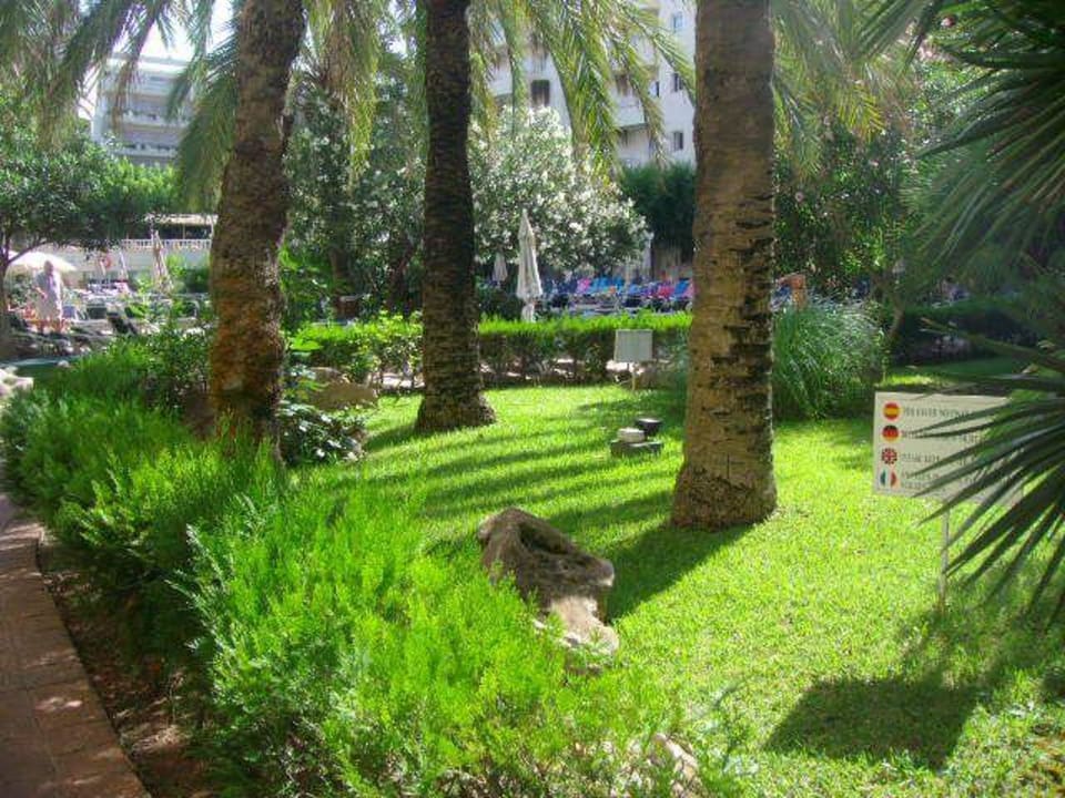 Gepflegte Grünanlagen Protur Palmeras Playa Aparthotel