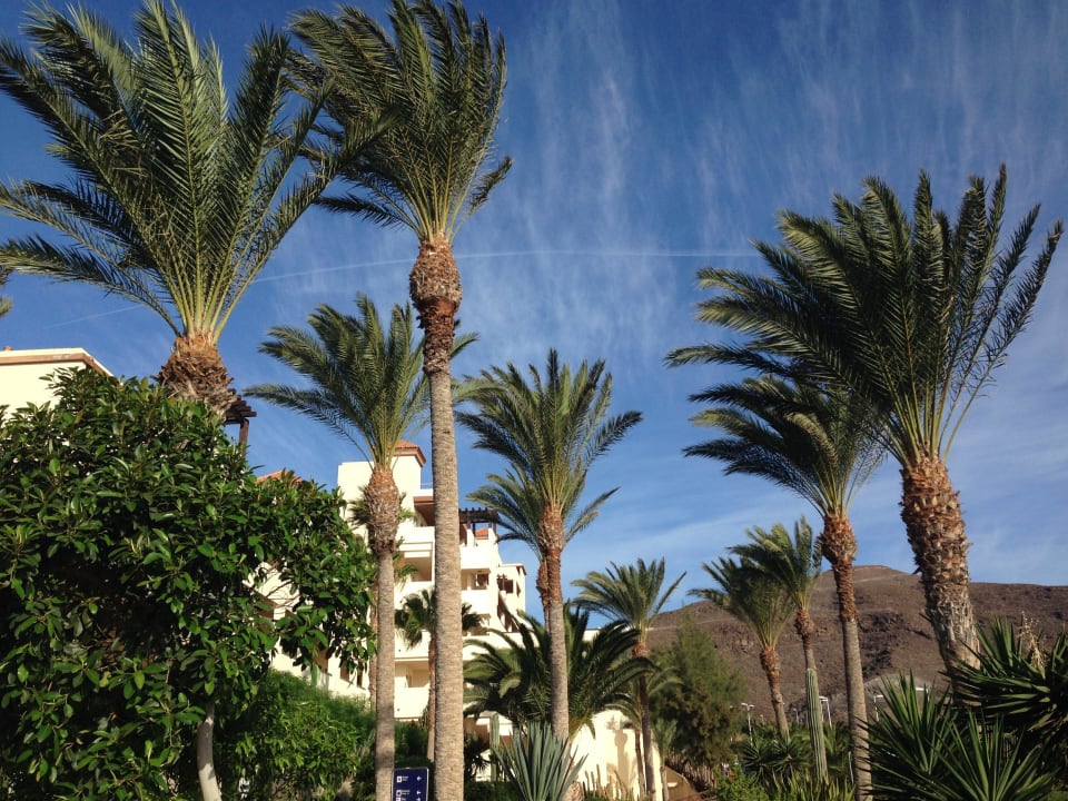 Morgens am Pool Occidental Jandía Mar