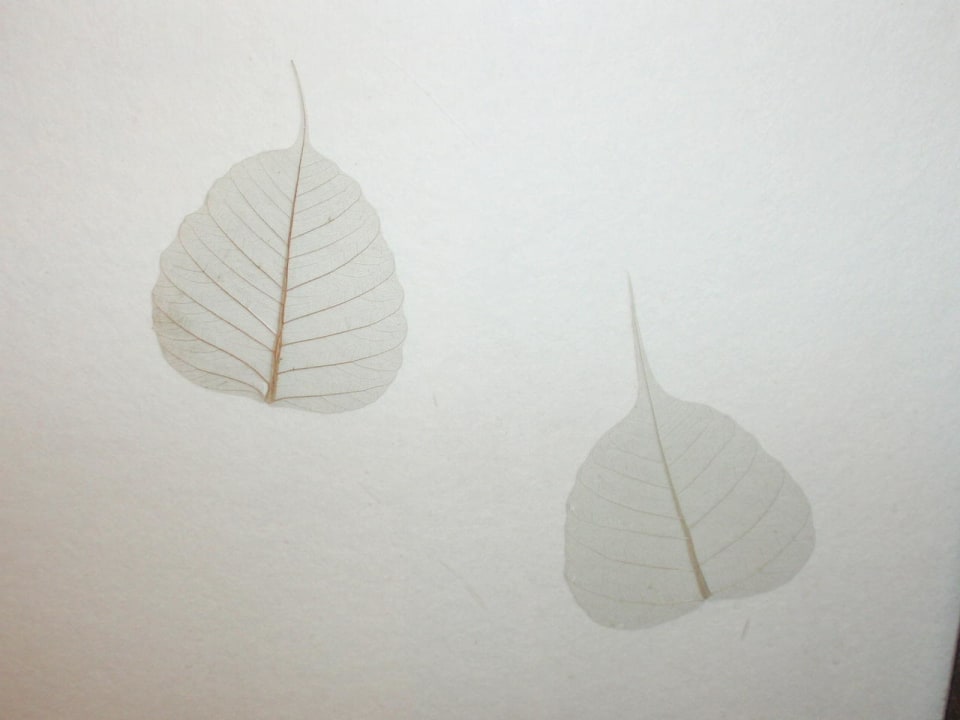 Echte Trockblätter in der Toilettenwand Hotel Royal Park Shiodome Tower