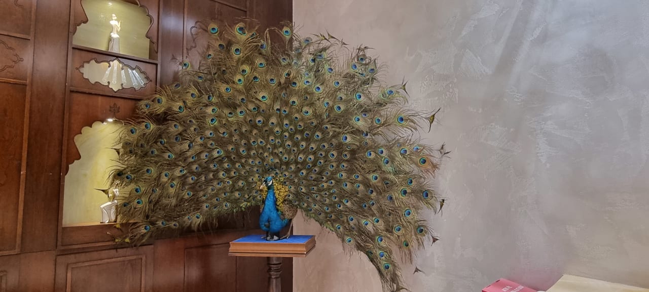 Lobby Royal Taj Mahal Hotel