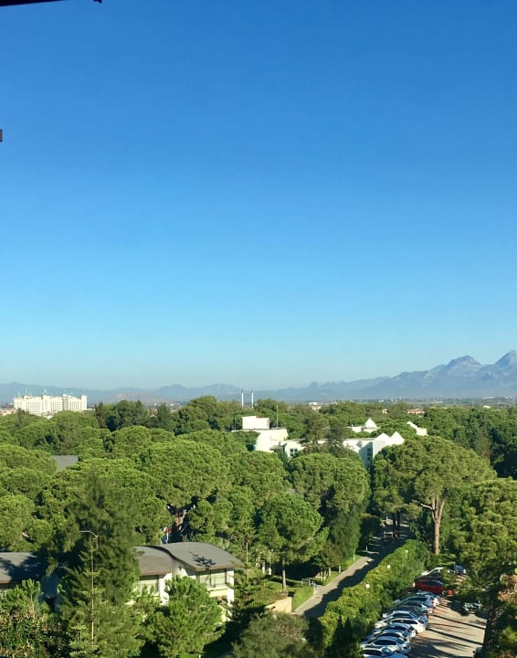 Blick vom 5 Stock aus. Papillon Ayscha