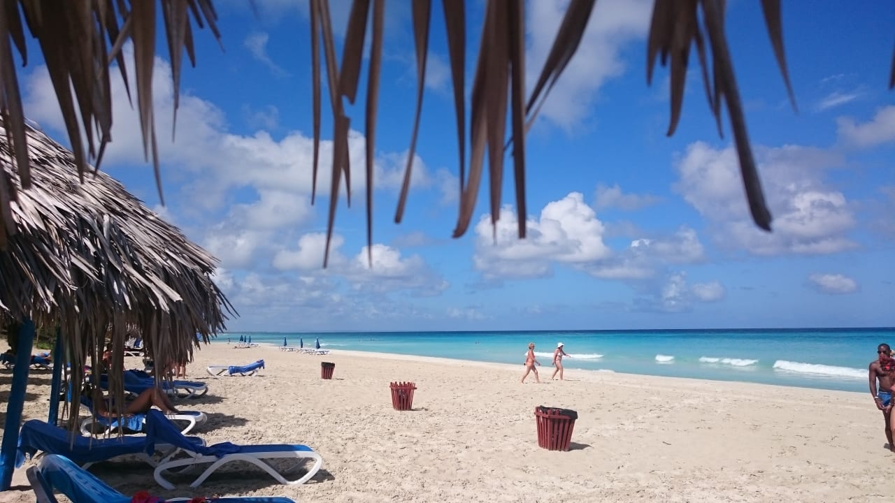Strand Starfish Cuatro Palmas
